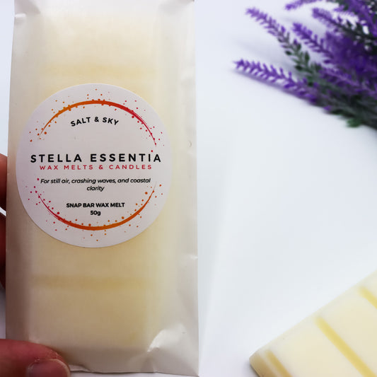 Rock Salt & Driftwood Luxury Wax Melt Snap Bar - Salt and Sky (50g)